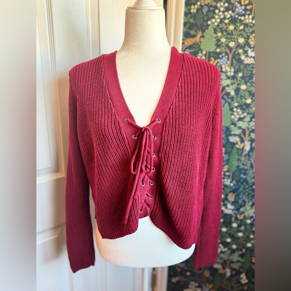 Forever 21 Red V-Neck Sweater​